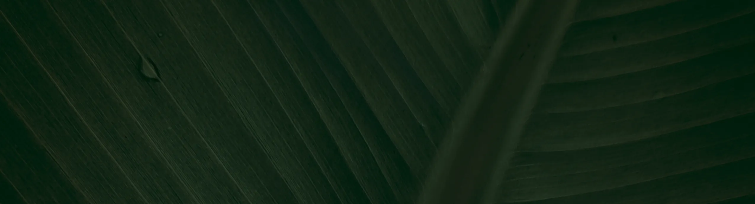 Bombillas LED recargables